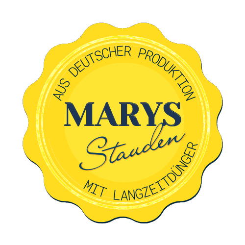 Marys Stauden